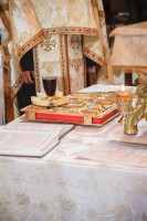 /album/biserica-pacii/mihai-si-diana-333-jpg/